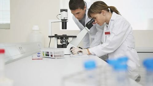化學、化工與生物化工專業就業前景分析