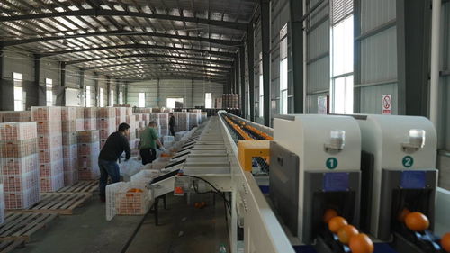 菜鳥物流科技下鄉，助力尋烏農產品進城與快遞進村，自動化與生物化工技術研發再上新階